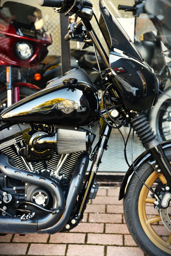 HARLEY DAVIDSON 110 LOW RIDER S – Image 4
