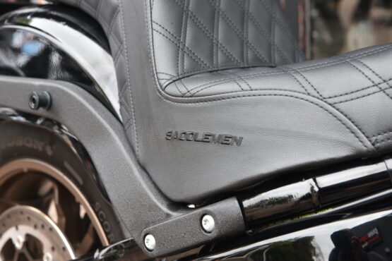 HARLEY DAVIDSON LOW RIDER S – Image 10
