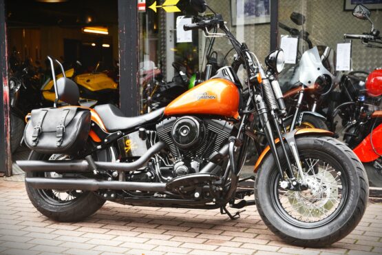 HARLEY DAVIDSON CROSS BONES