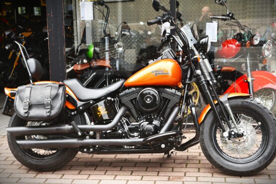 HARLEY DAVIDSON CROSS BONES – Image 2