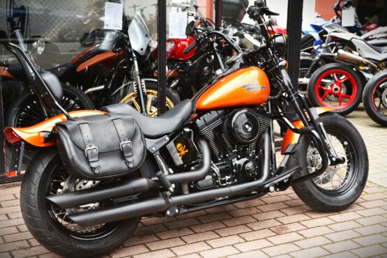 HARLEY DAVIDSON CROSS BONES – Image 3