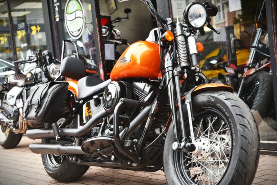 HARLEY DAVIDSON CROSS BONES – Image 5