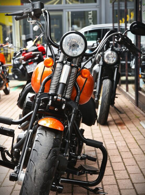 HARLEY DAVIDSON CROSS BONES – Image 6