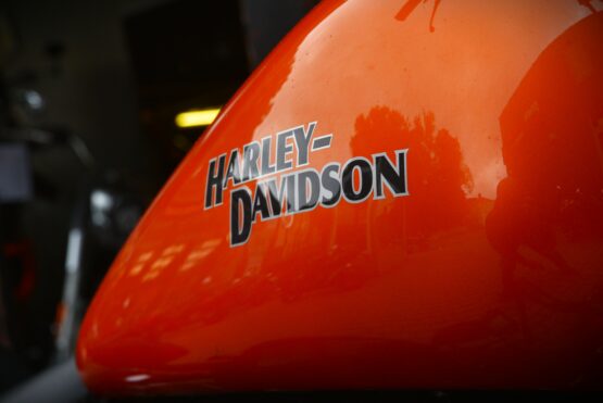 HARLEY DAVIDSON CROSS BONES – Image 8