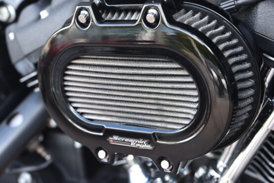 HARLEY DAVIDSON LOW RIDER ST – Image 9