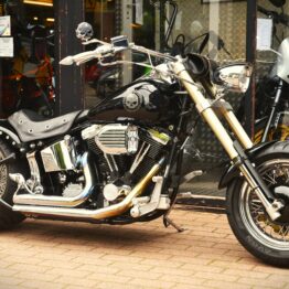 HARLEY DAVIDSON SOFTAIL CUSTOM