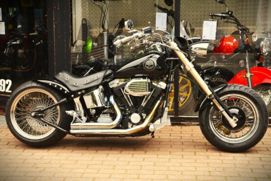 HARLEY DAVIDSON SOFTAIL CUSTOM – Image 2