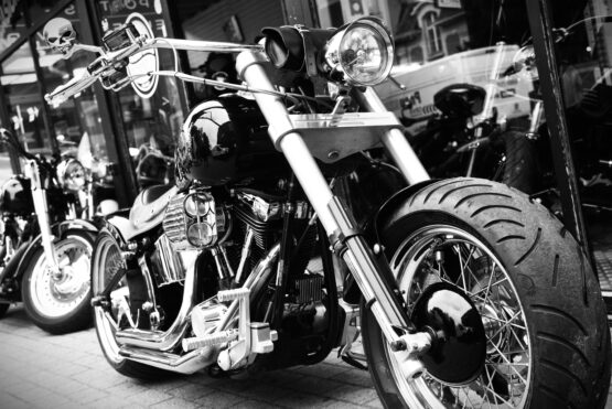 HARLEY DAVIDSON SOFTAIL CUSTOM – Image 5
