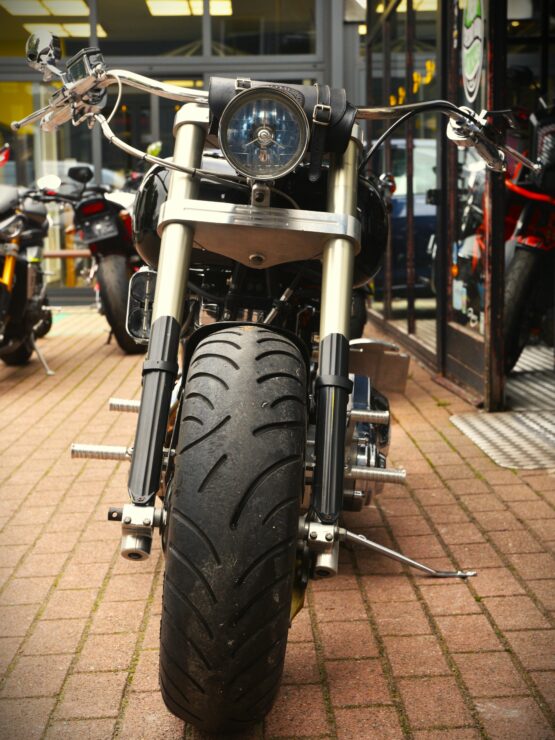 HARLEY DAVIDSON SOFTAIL CUSTOM – Image 6