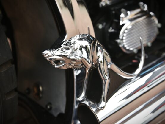 HARLEY DAVIDSON SOFTAIL CUSTOM – Image 8