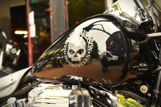 HARLEY DAVIDSON SOFTAIL CUSTOM – Image 9