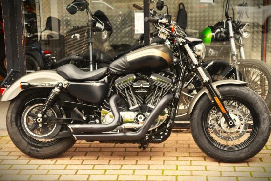HARLEY DAVIDSON 1200 CUSTOM – Image 2