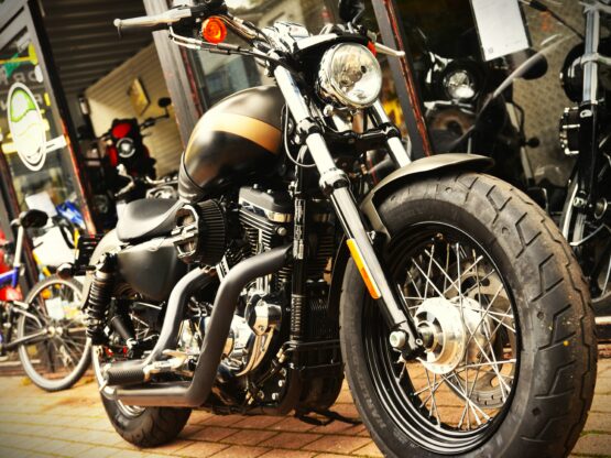 HARLEY DAVIDSON 1200 CUSTOM – Image 5