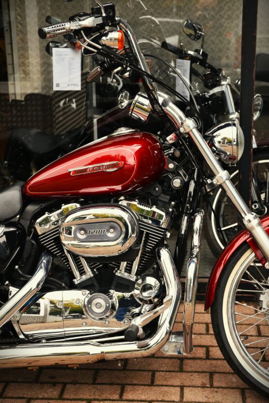 HARLEY DAVIDSON XL1200C SPORTSTER CUSTOM – Image 4