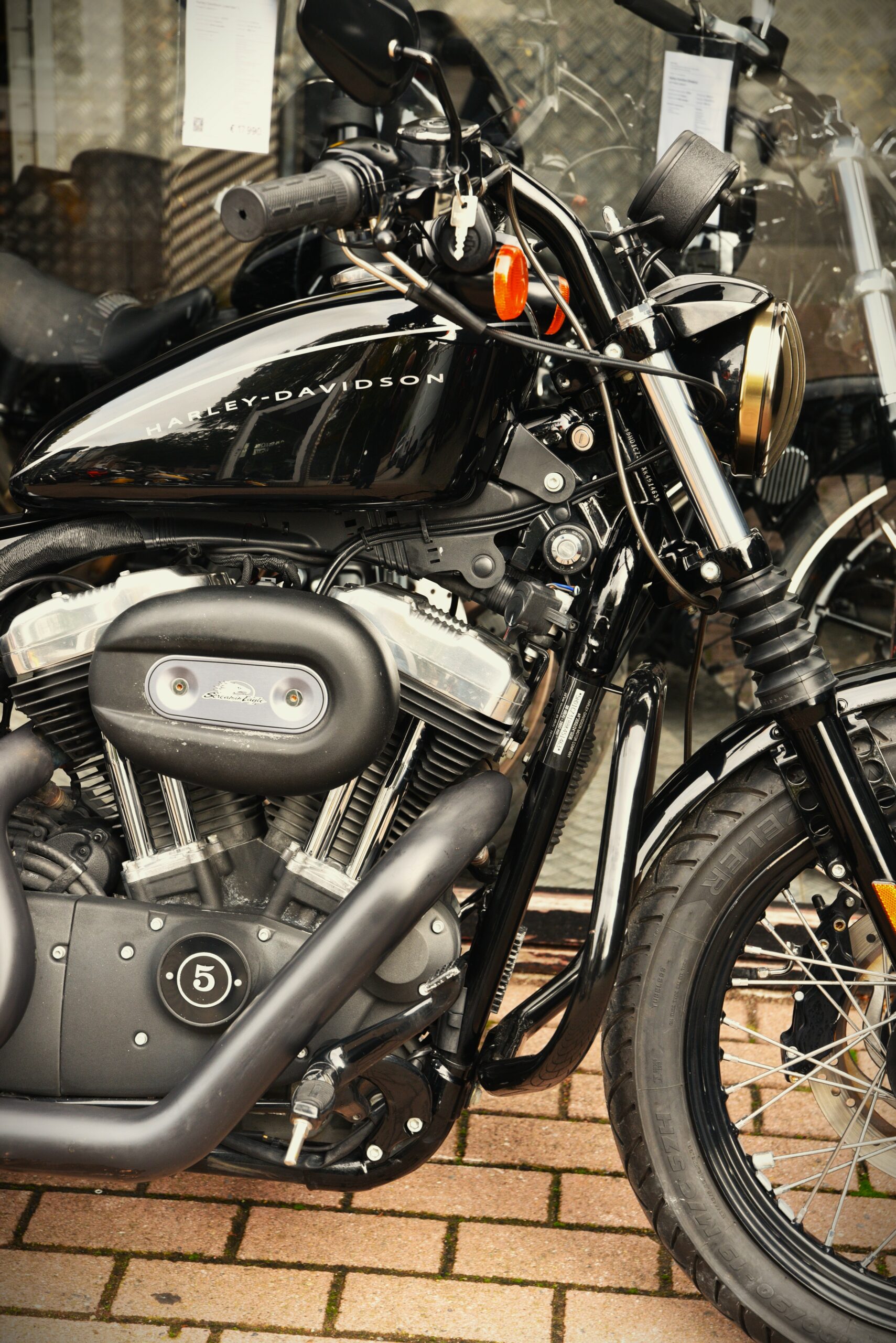 HARLEY DAVIDSON 1200 NIGHTSTER – Image 4