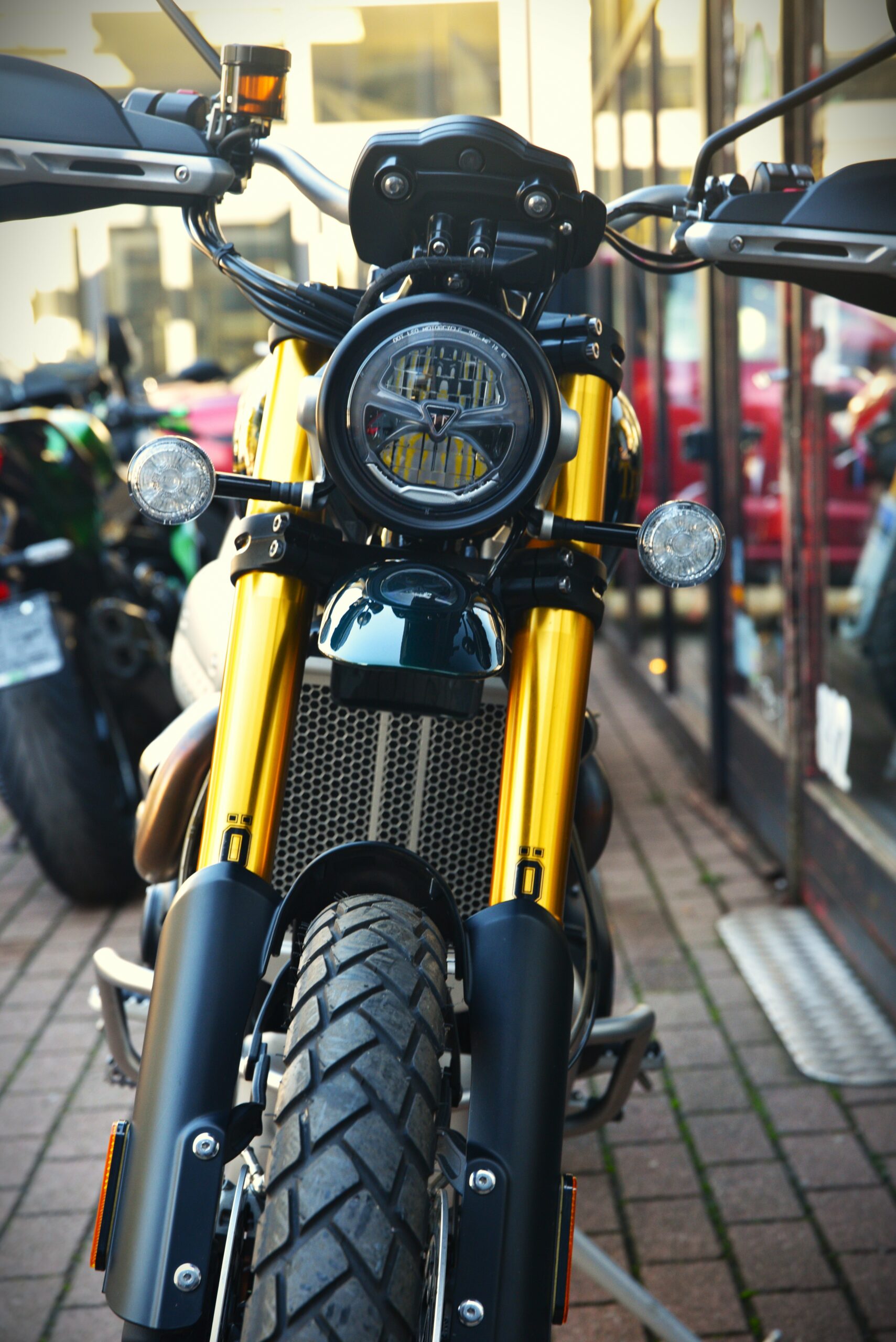 TRIUMPH SCRAMBLER 1200 STEVE MCQUEEN EDITION – Image 6