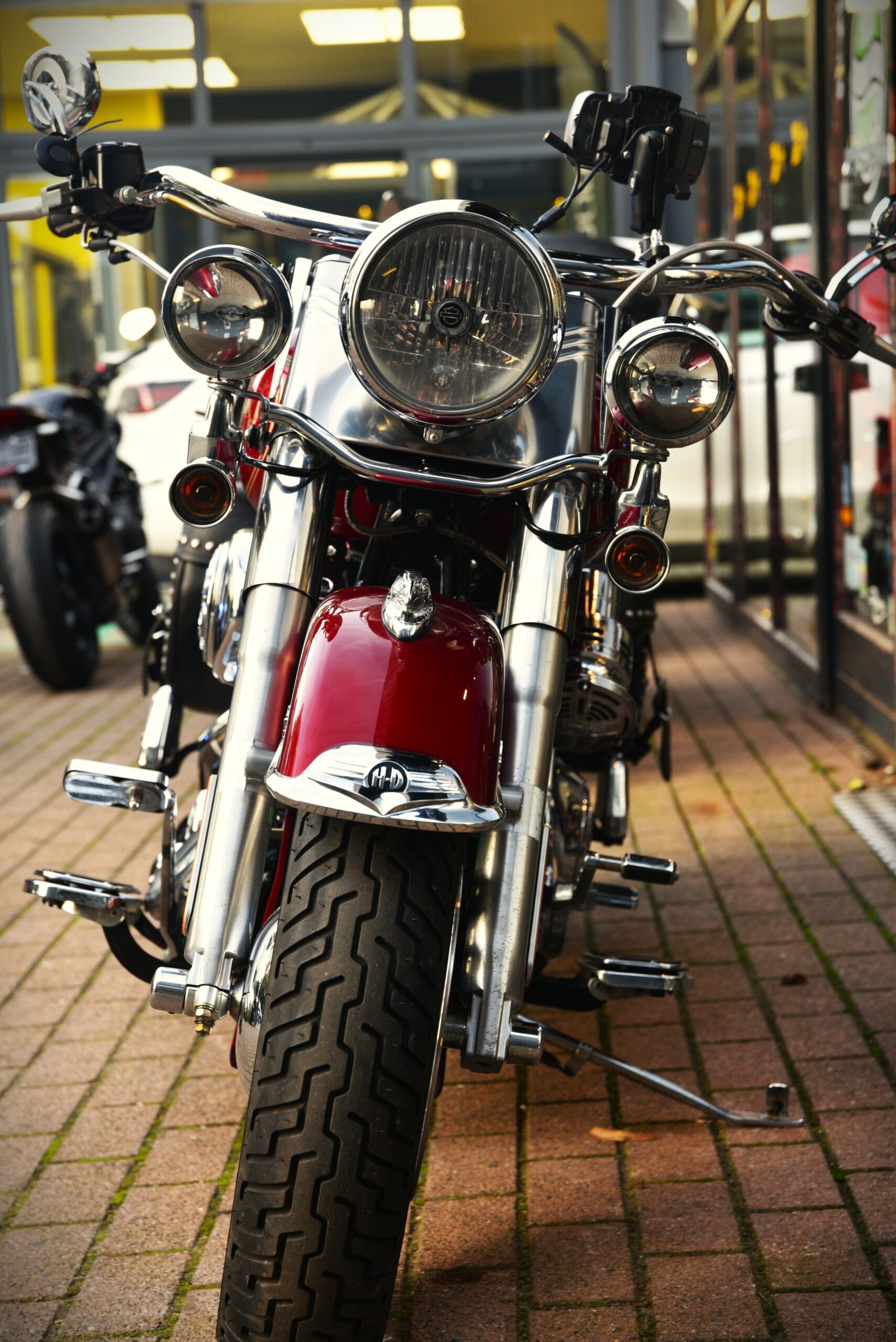 HARLEY DAVIDSON HERITAGE SOFTAIL – Image 6