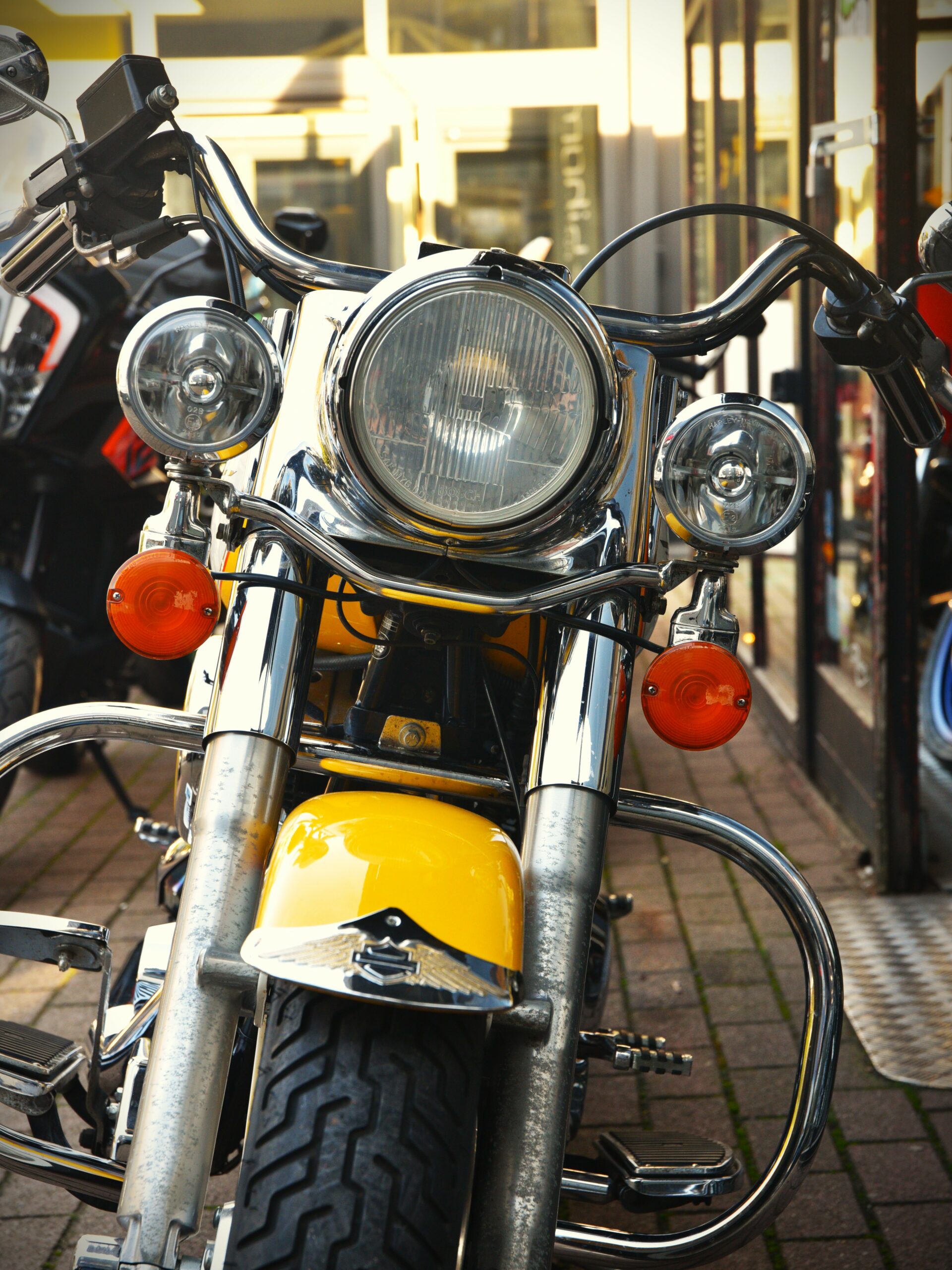 HARLEY DAVIDSON 1340 FAT BOY – Image 6