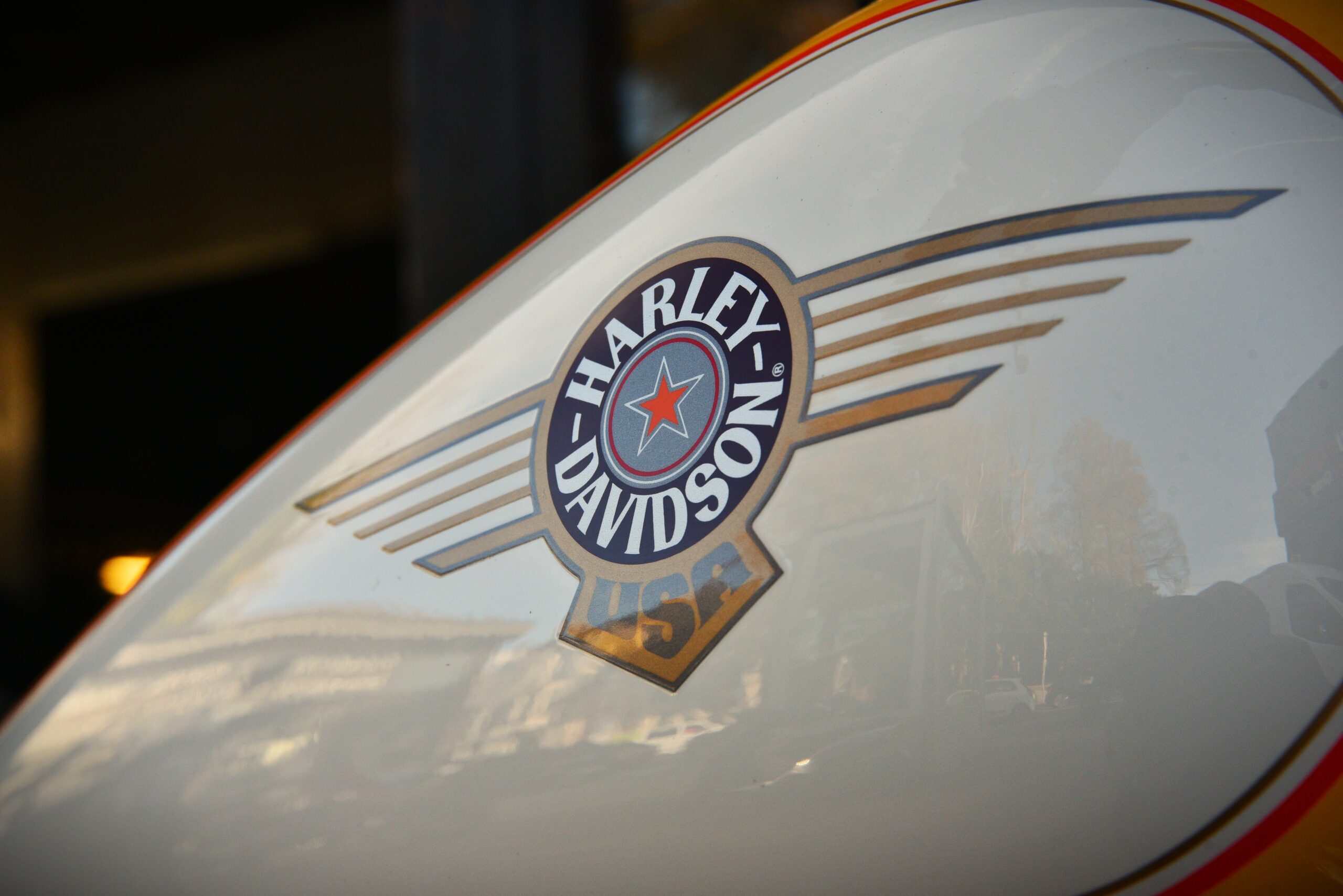 HARLEY DAVIDSON 1340 FAT BOY – Image 9