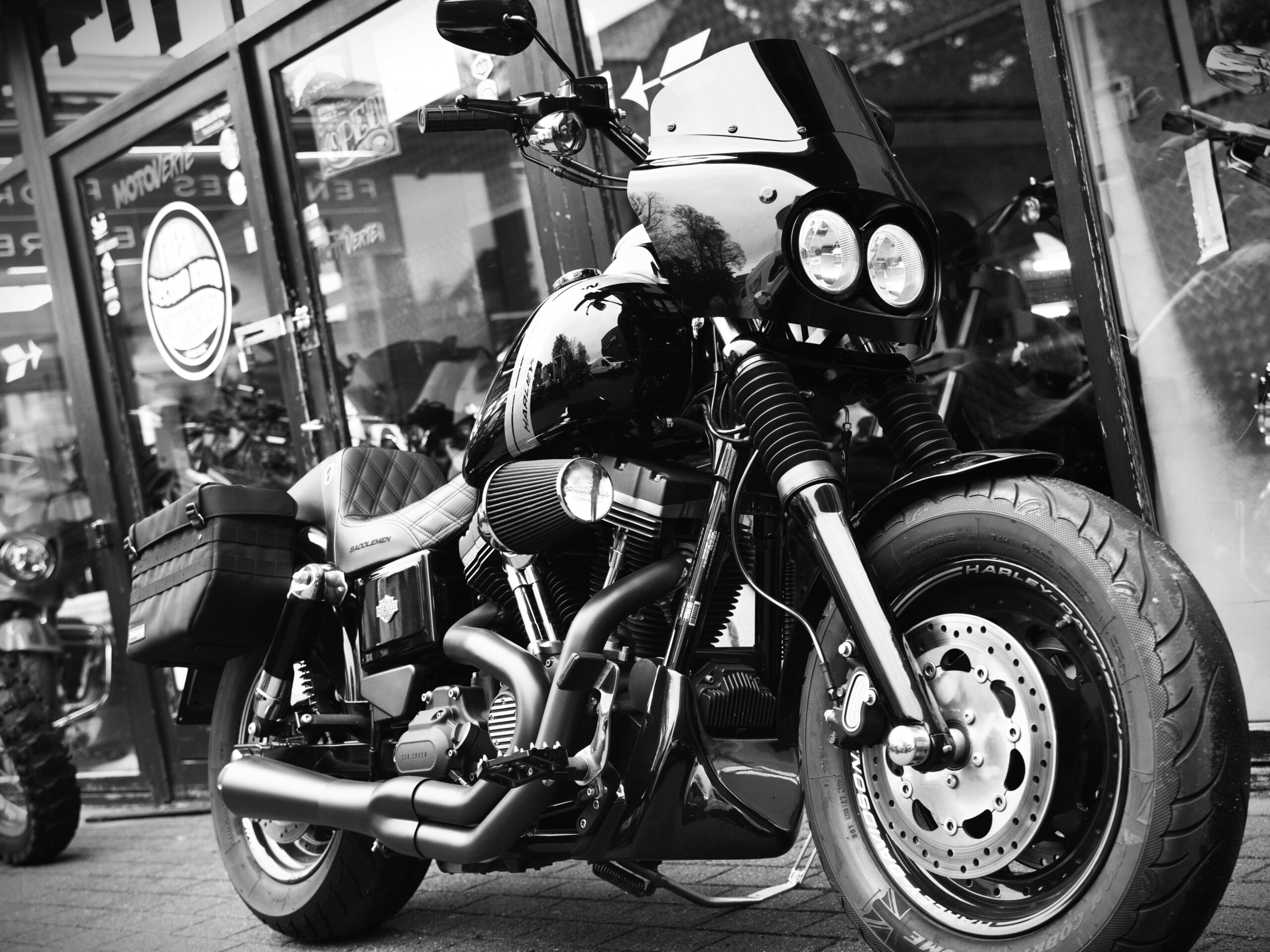 HARLEY DAVIDSON 103 FAT BOB – Image 5