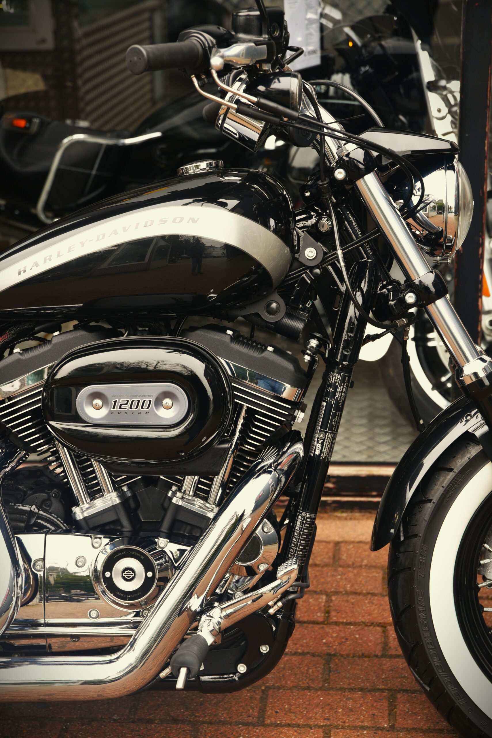 HARLEY DAVIDSON 1200 CUSTOM – Image 4