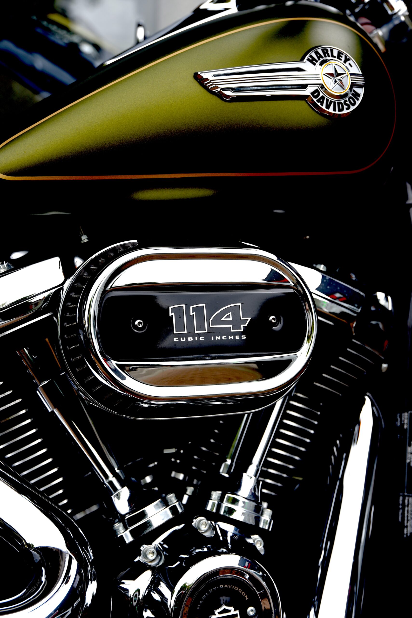 HARLEY DAVIDSON 114 FAT BOY – Image 8