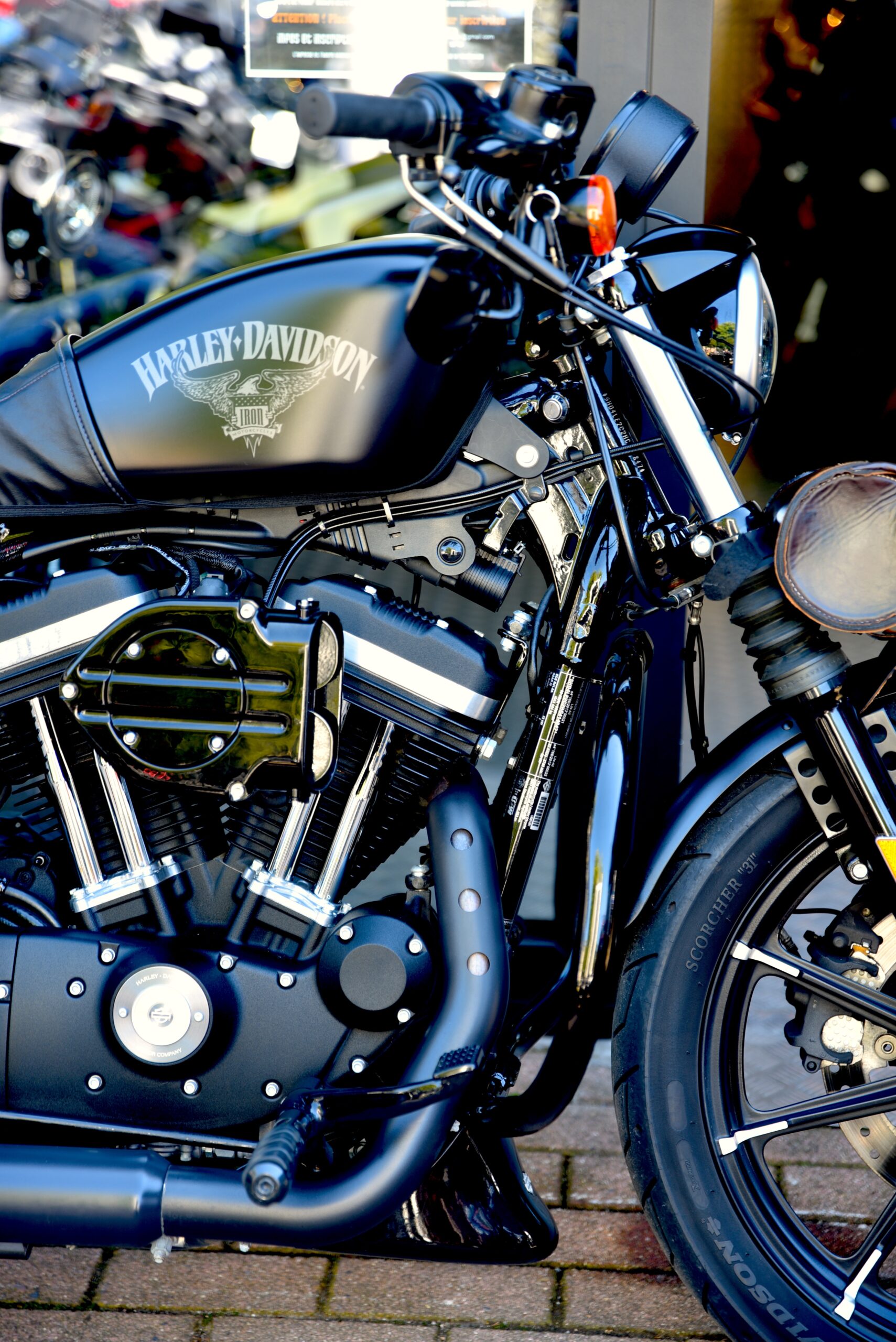HARLEY DAVIDSON IRON 883 – Image 4