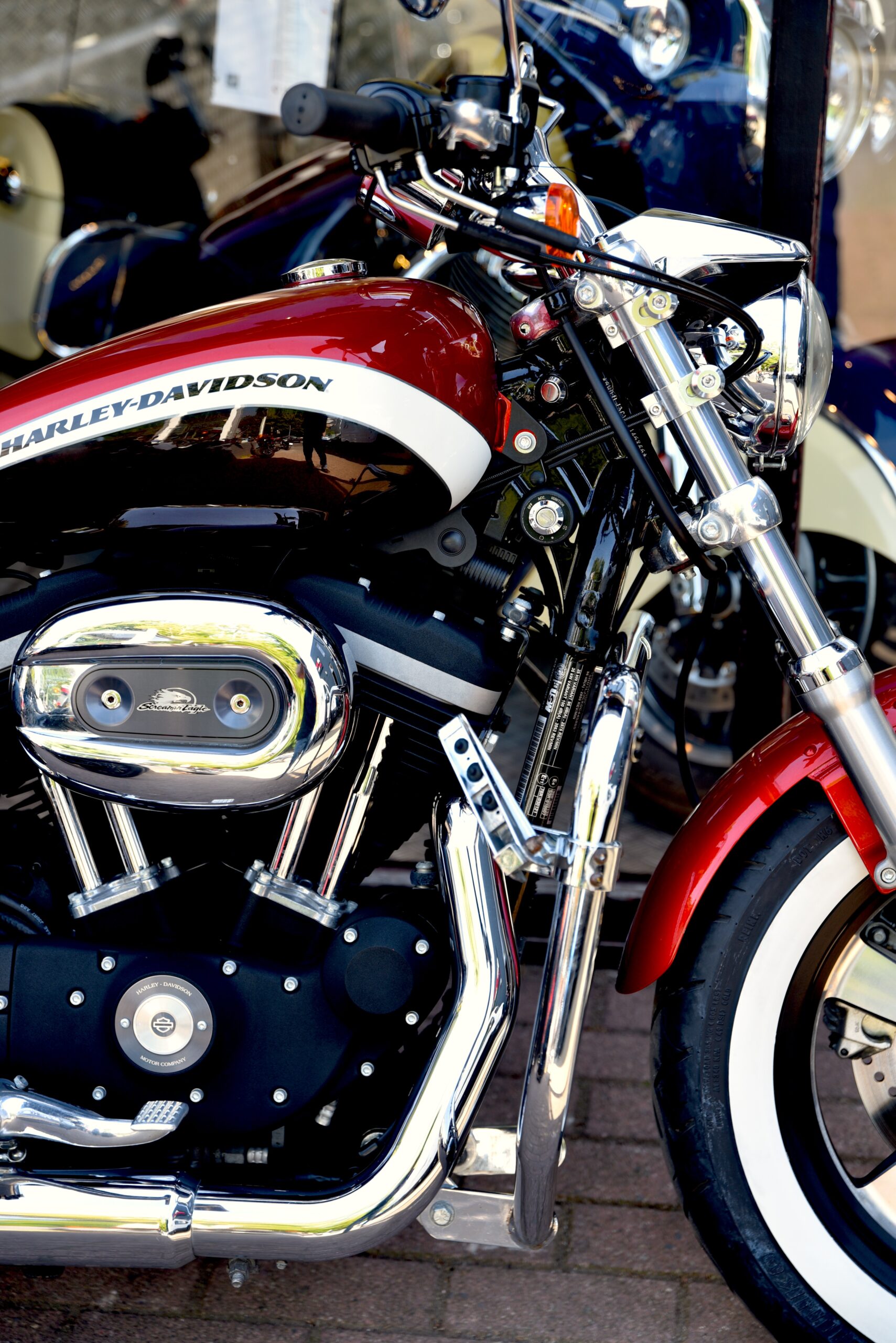 HARLEY DAVIDSON 1200 CUSTOM LIMITED – Image 4