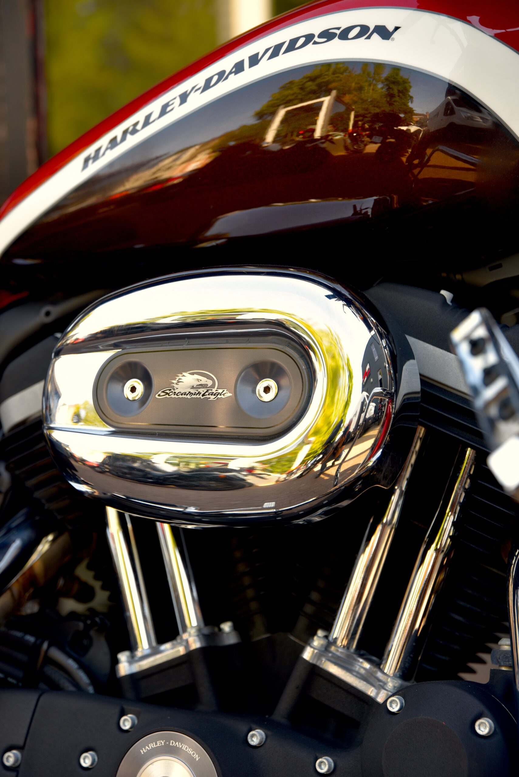 HARLEY DAVIDSON 1200 CUSTOM LIMITED – Image 9