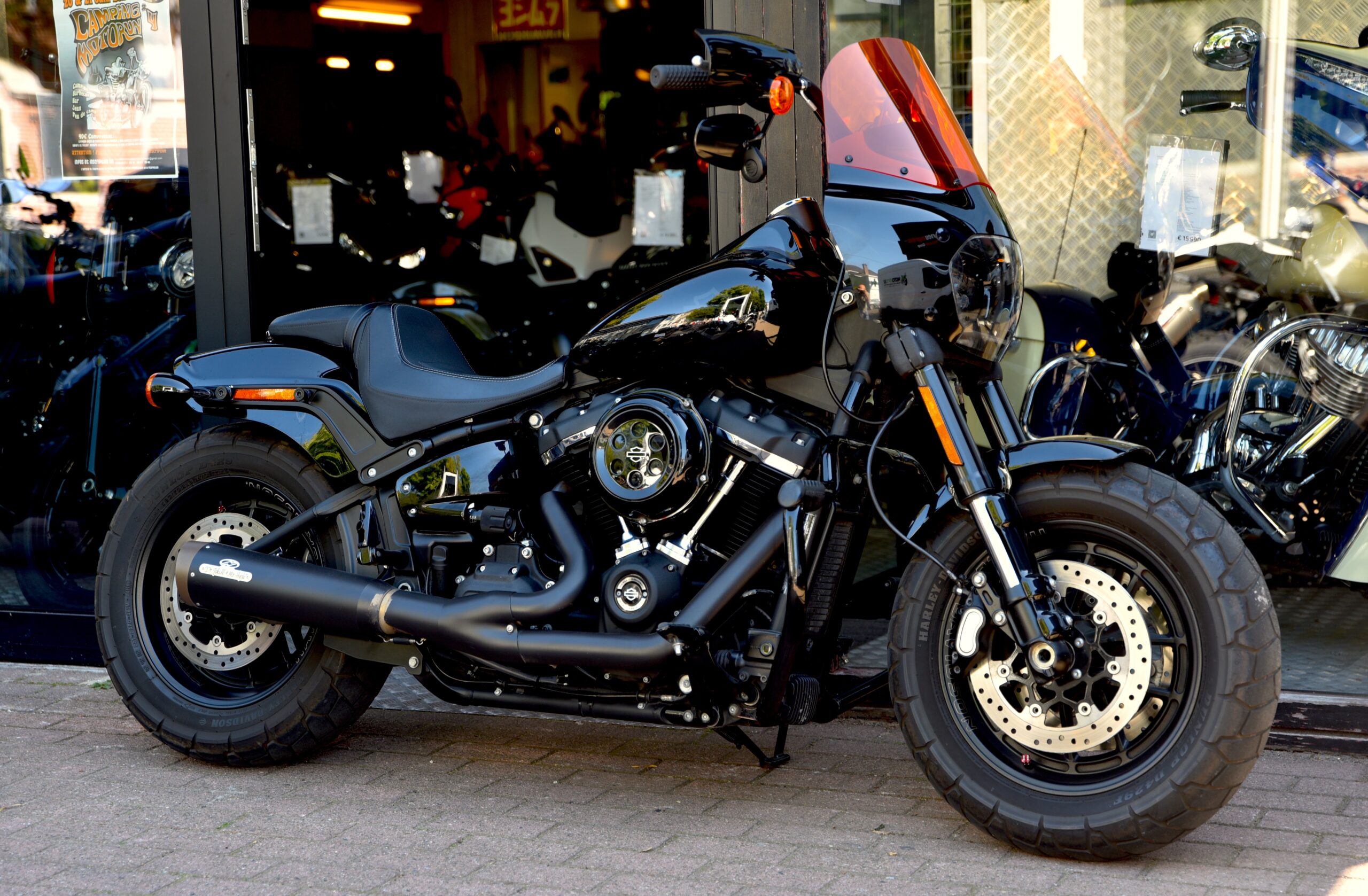 DSC_8782 DSC_8782