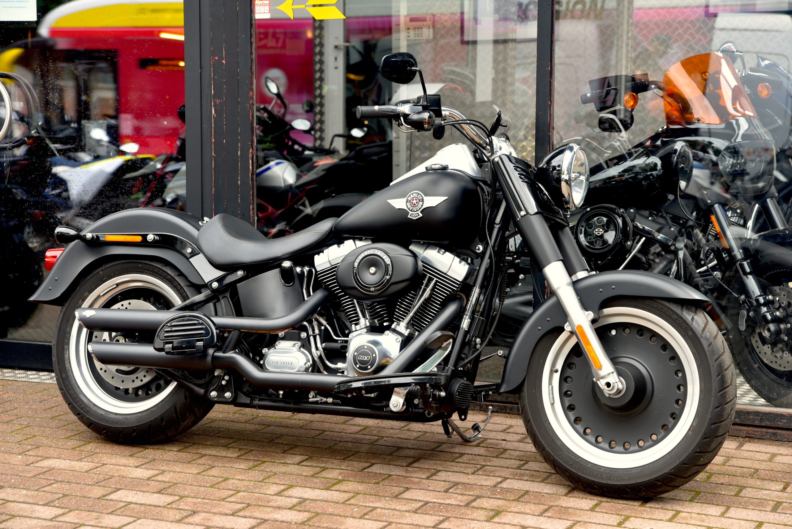 DSC_8895 DSC_8895