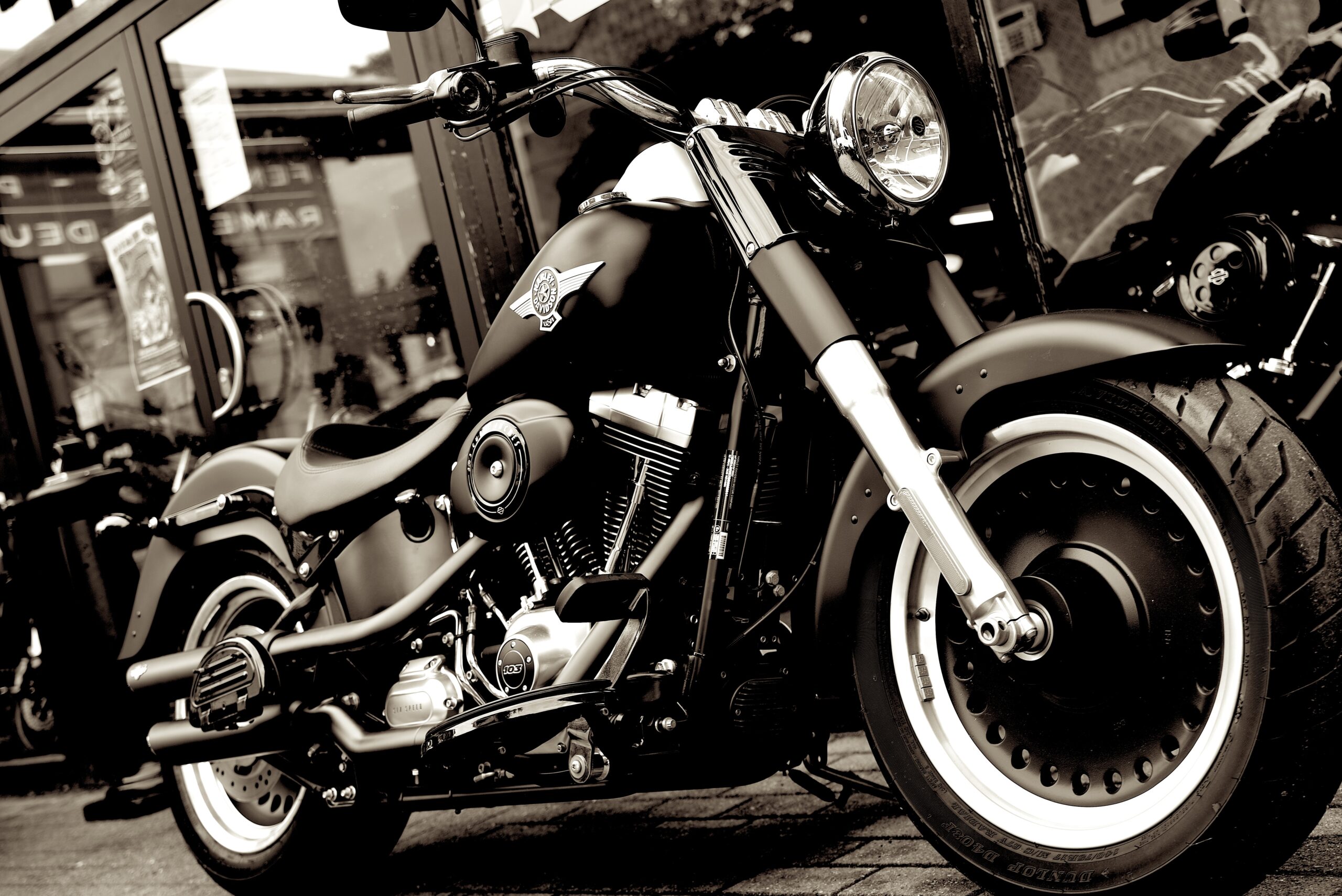 HARLEY DAVIDSON 103 FAT BOY – Image 5