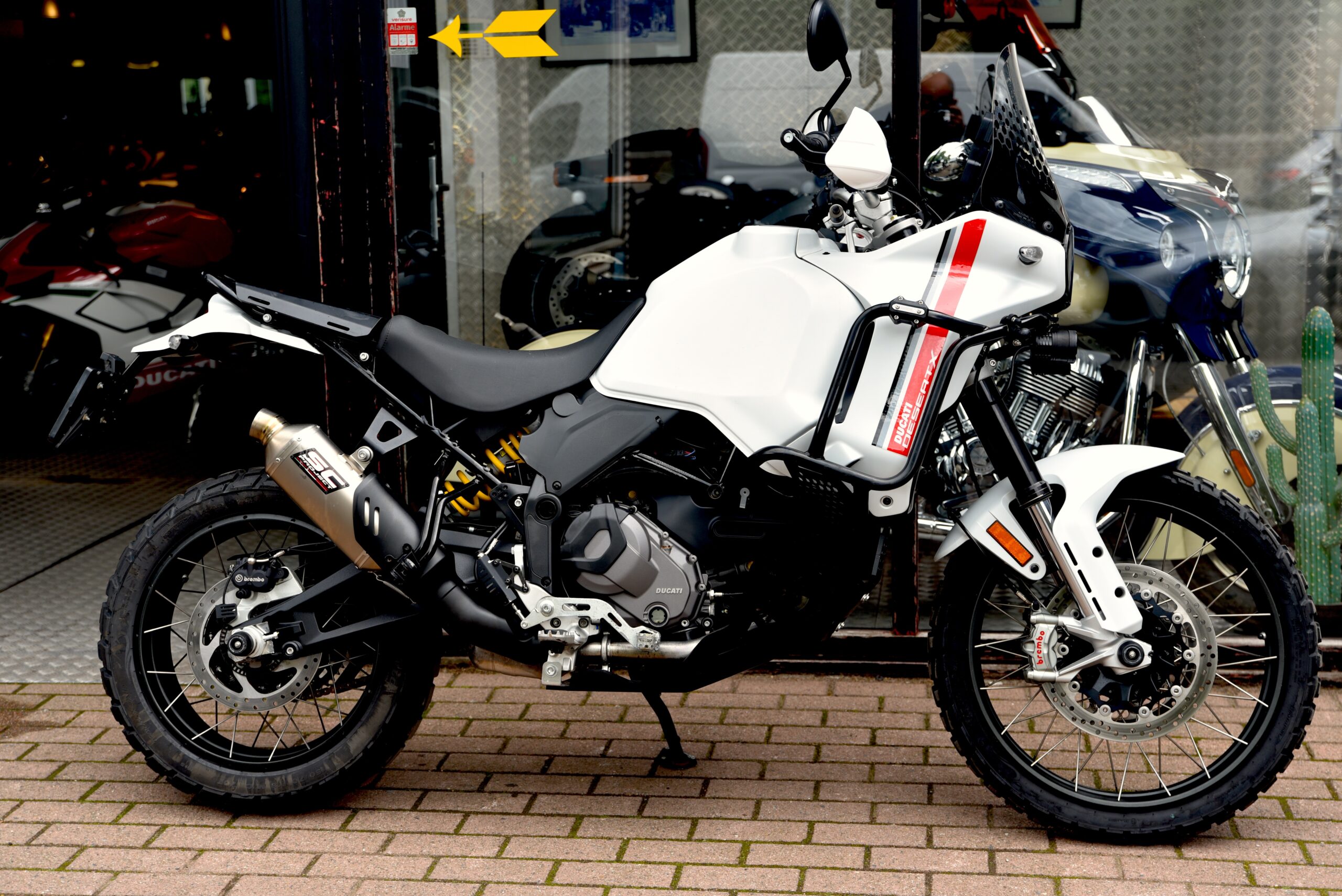 DUCATI DESERT X – Image 2