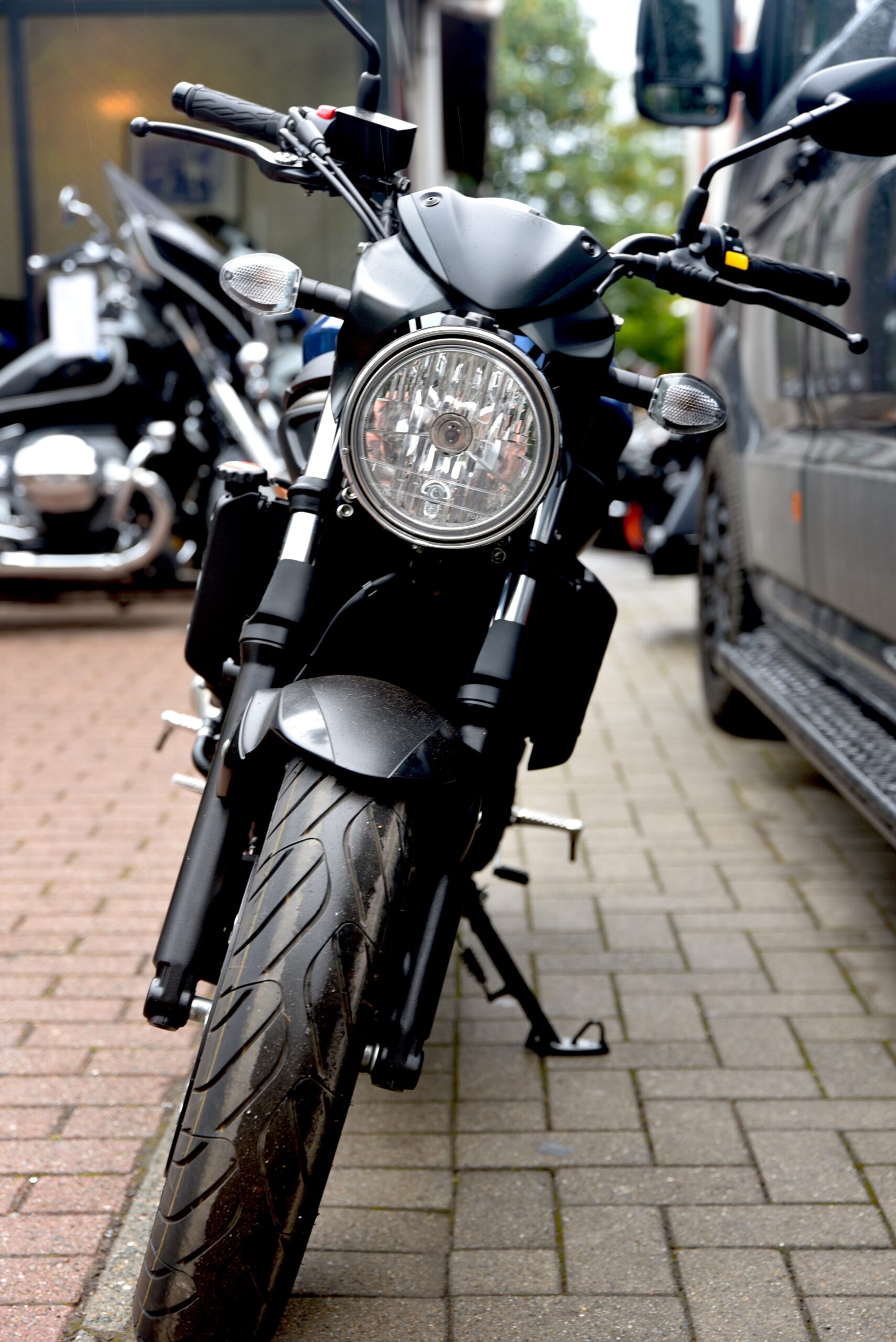 SUZUKI SV 650 – Image 5