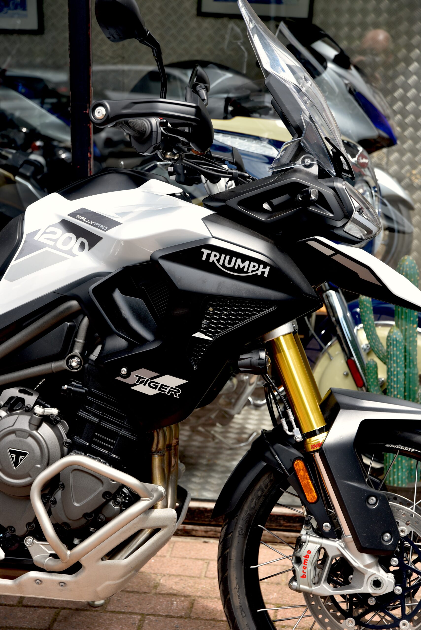 TRIUMPH TIGER 1200 RALLY PRO – Image 4