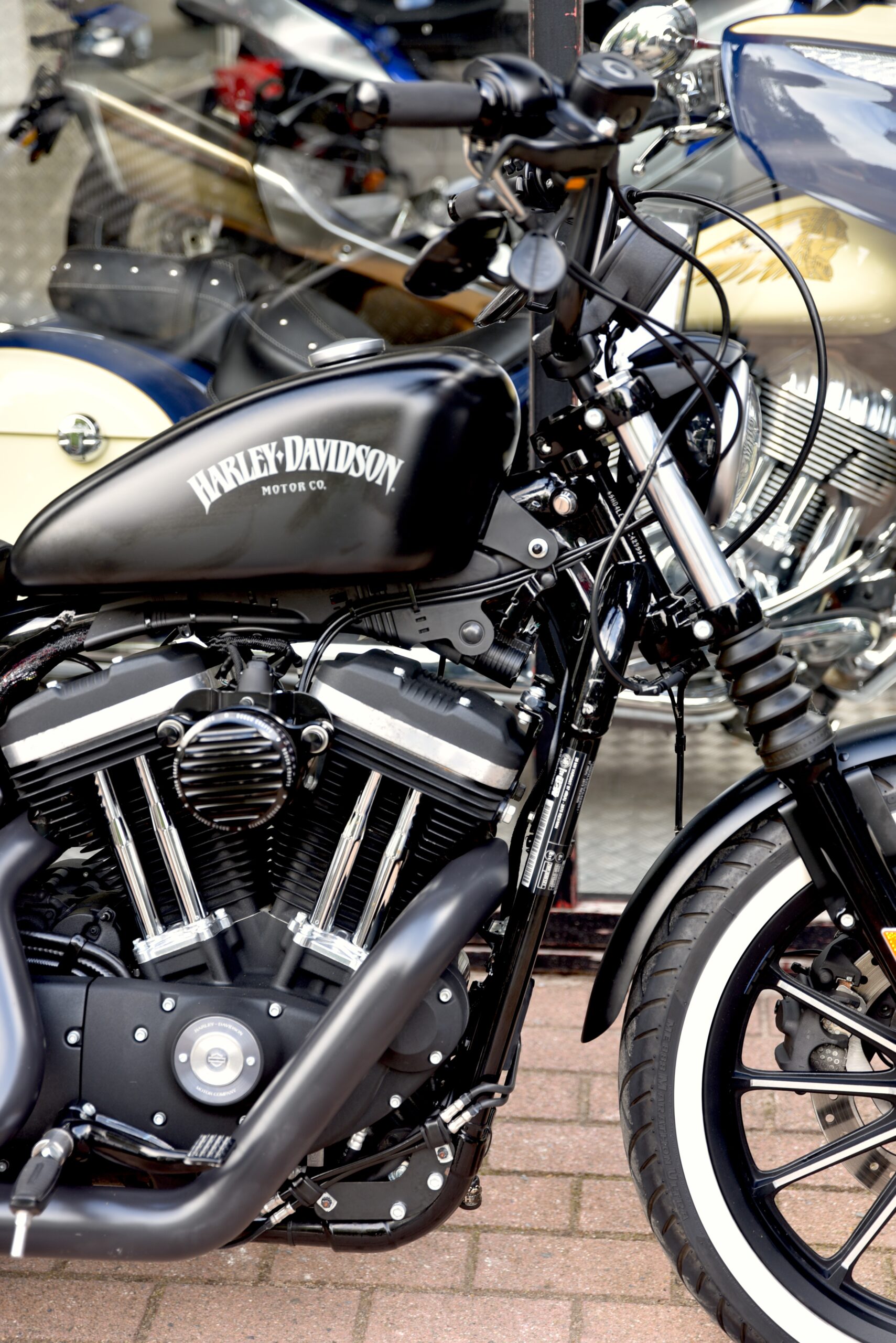 HARLEY DAVIDSON IRON 883 – Image 4