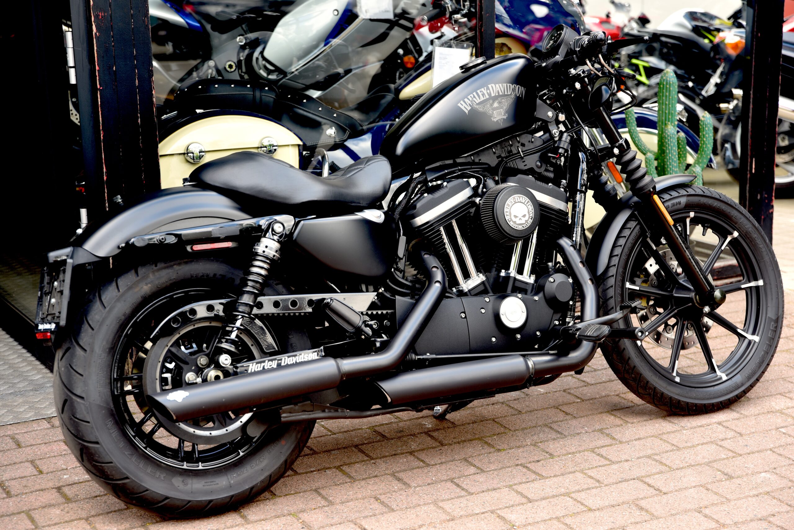 HARLEY DAVIDSON IRON 883 – Image 3