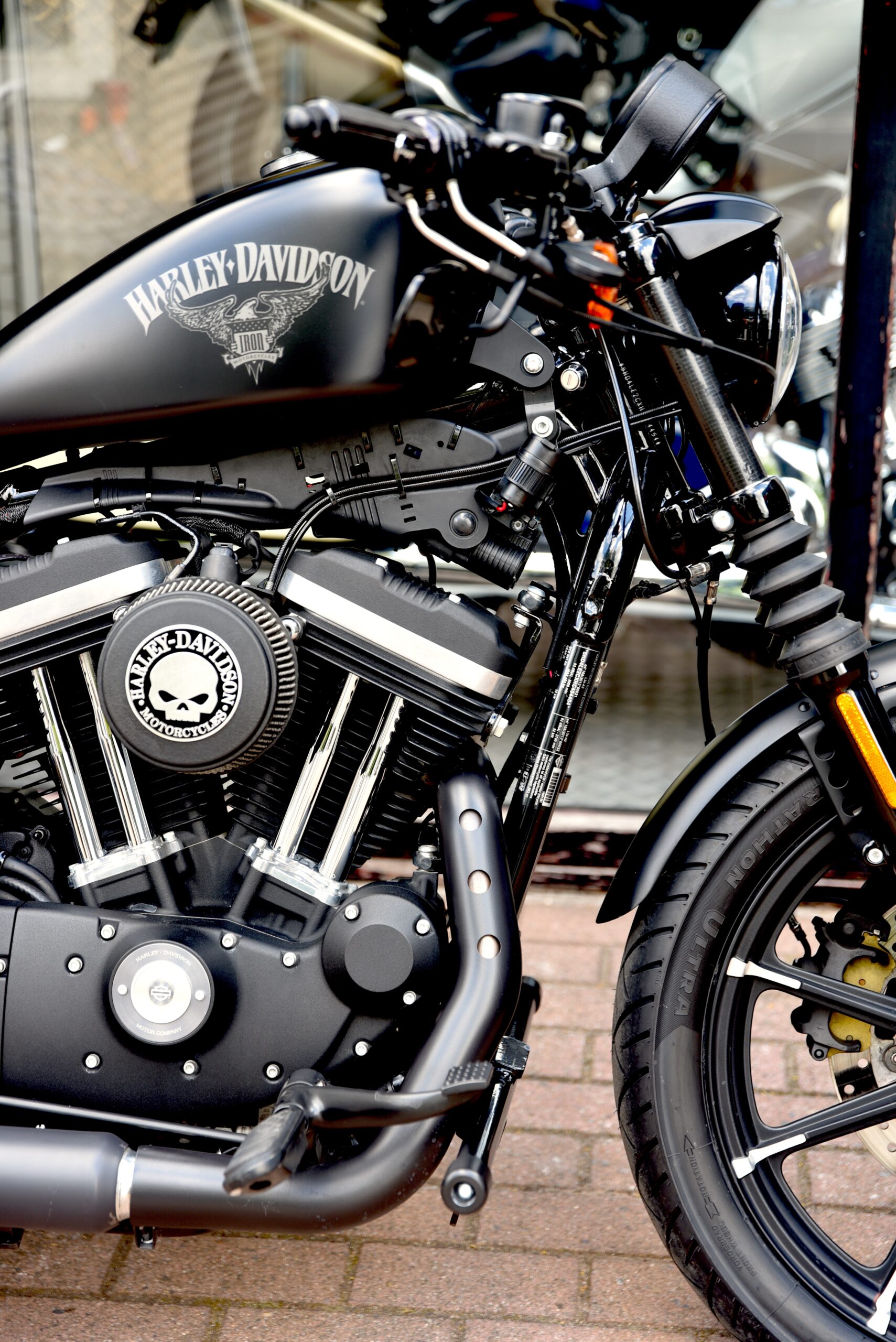 HARLEY DAVIDSON IRON 883 – Image 4
