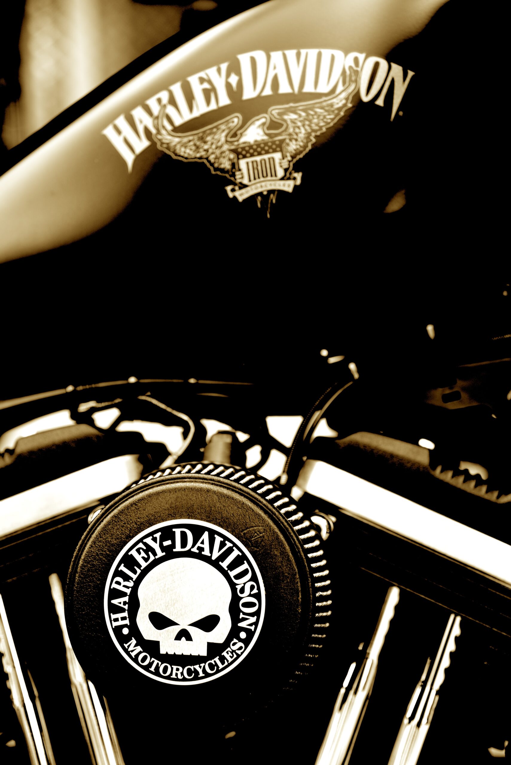 HARLEY DAVIDSON IRON 883 – Image 9