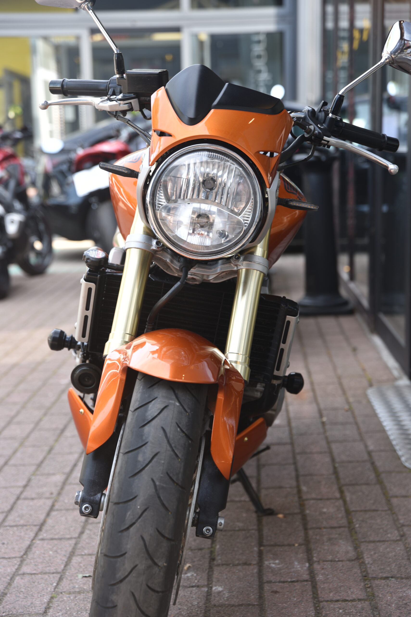 HONDA CB 600 HORNET – Image 5