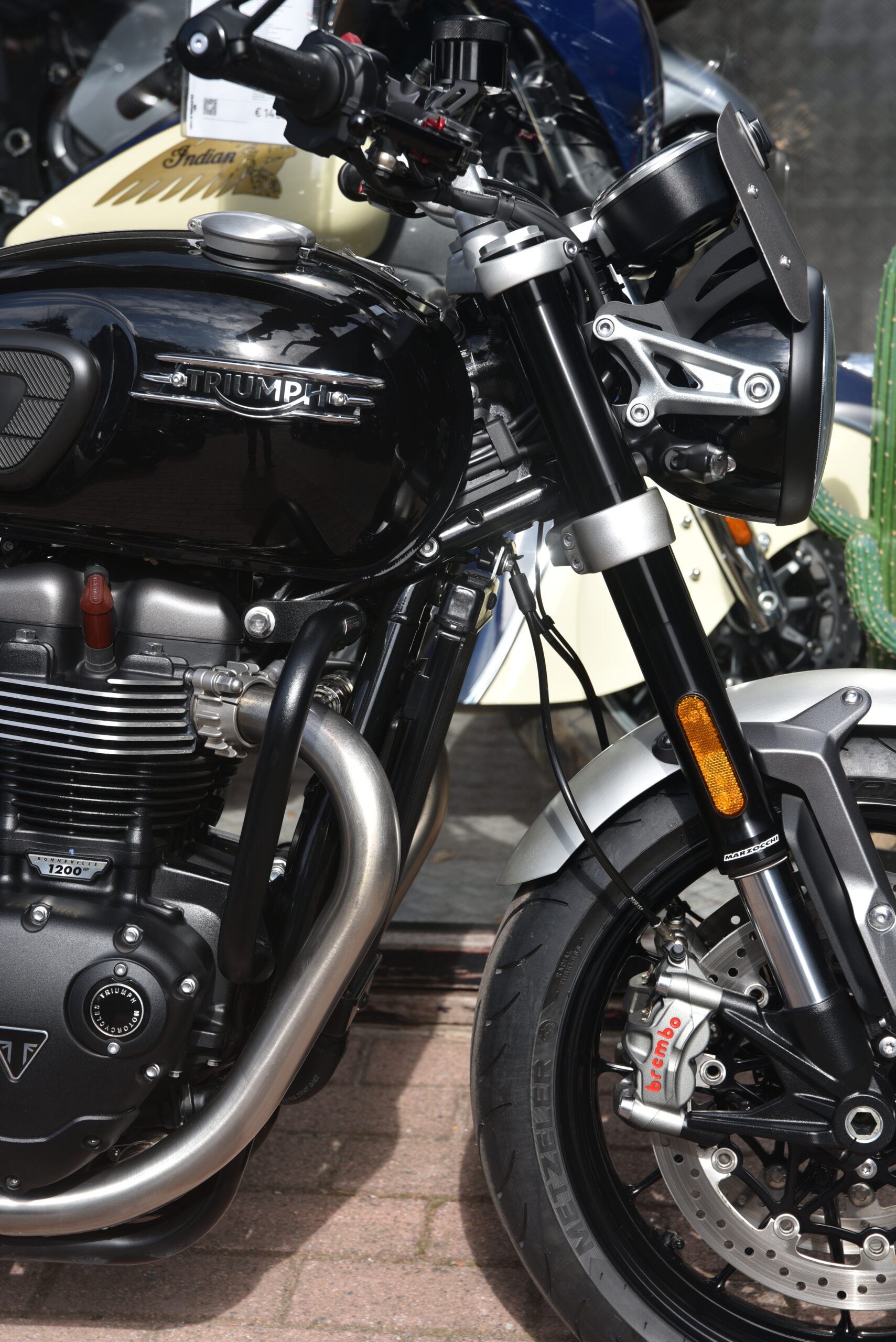 TRIUMPH SPEED TWIN – Image 4