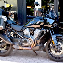 HARLEY DAVIDSON 1250 PAN AMERICA
