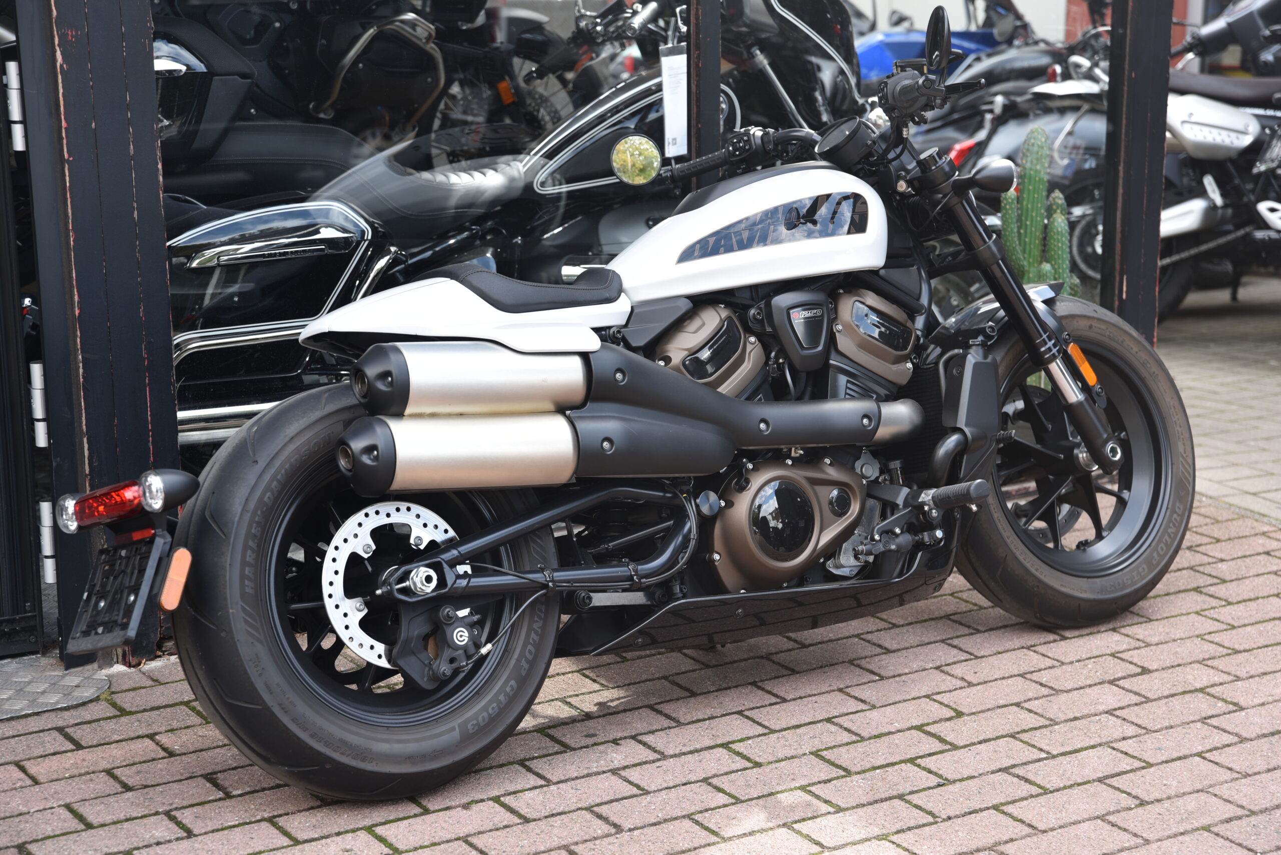 HARLEY DAVIDSON 1250 SPORTSTER S – Image 3