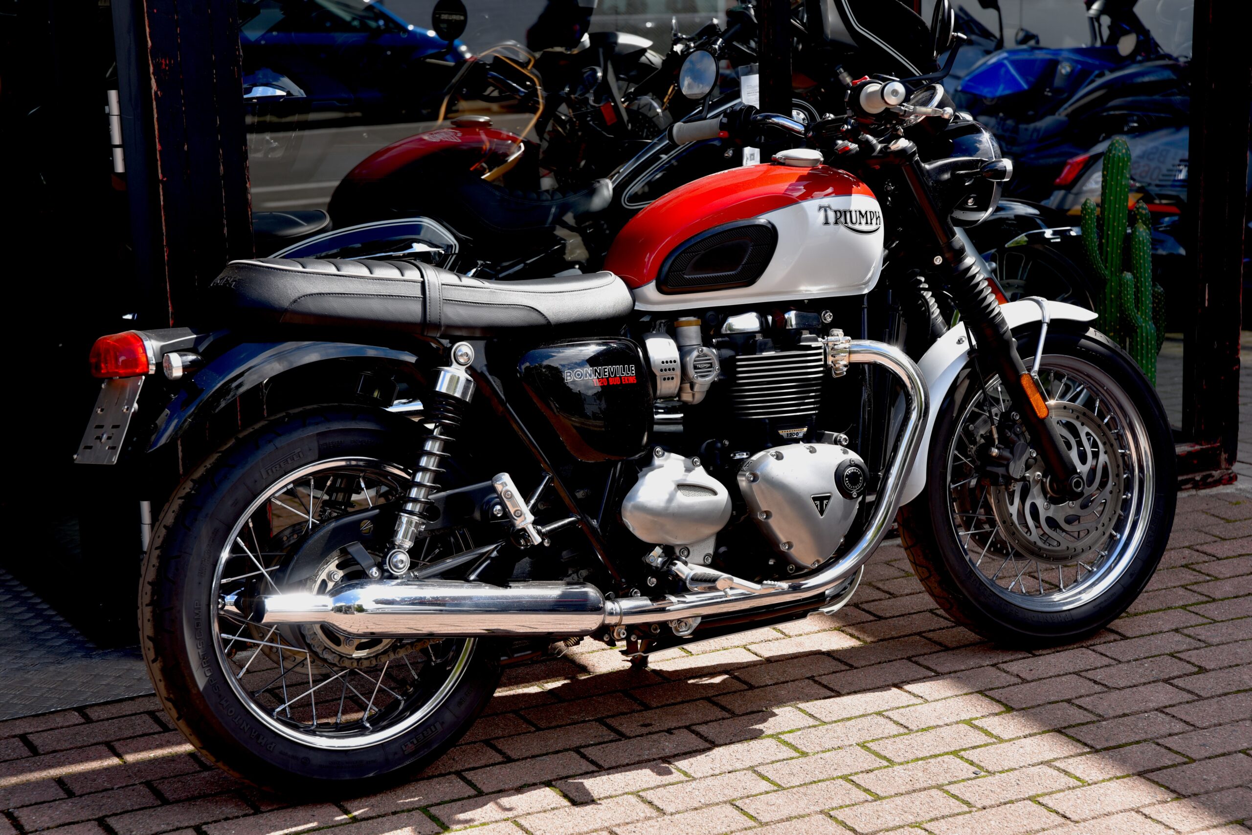 TRIUMPH BONNEVILLE T120 BUD EKINS – Image 3