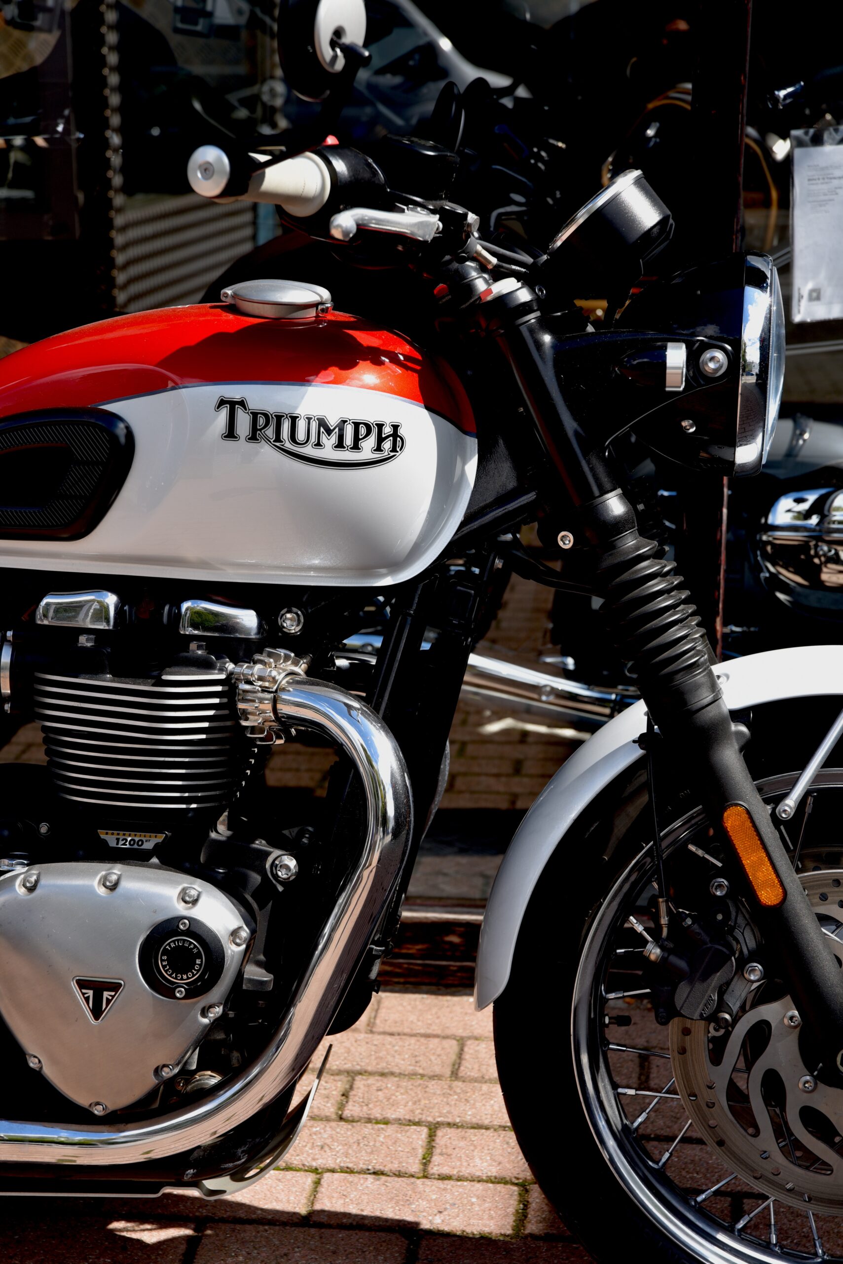 TRIUMPH BONNEVILLE T120 BUD EKINS – Image 4