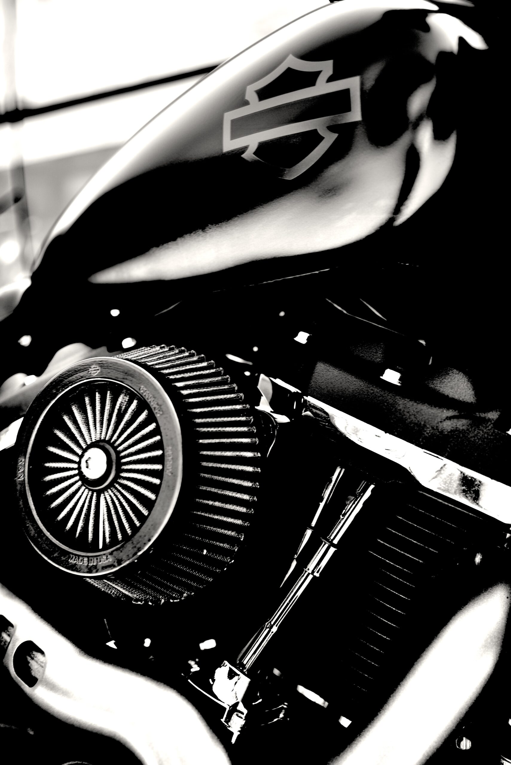 HARLEY DAVIDSON FAT BOB 114 – Image 8