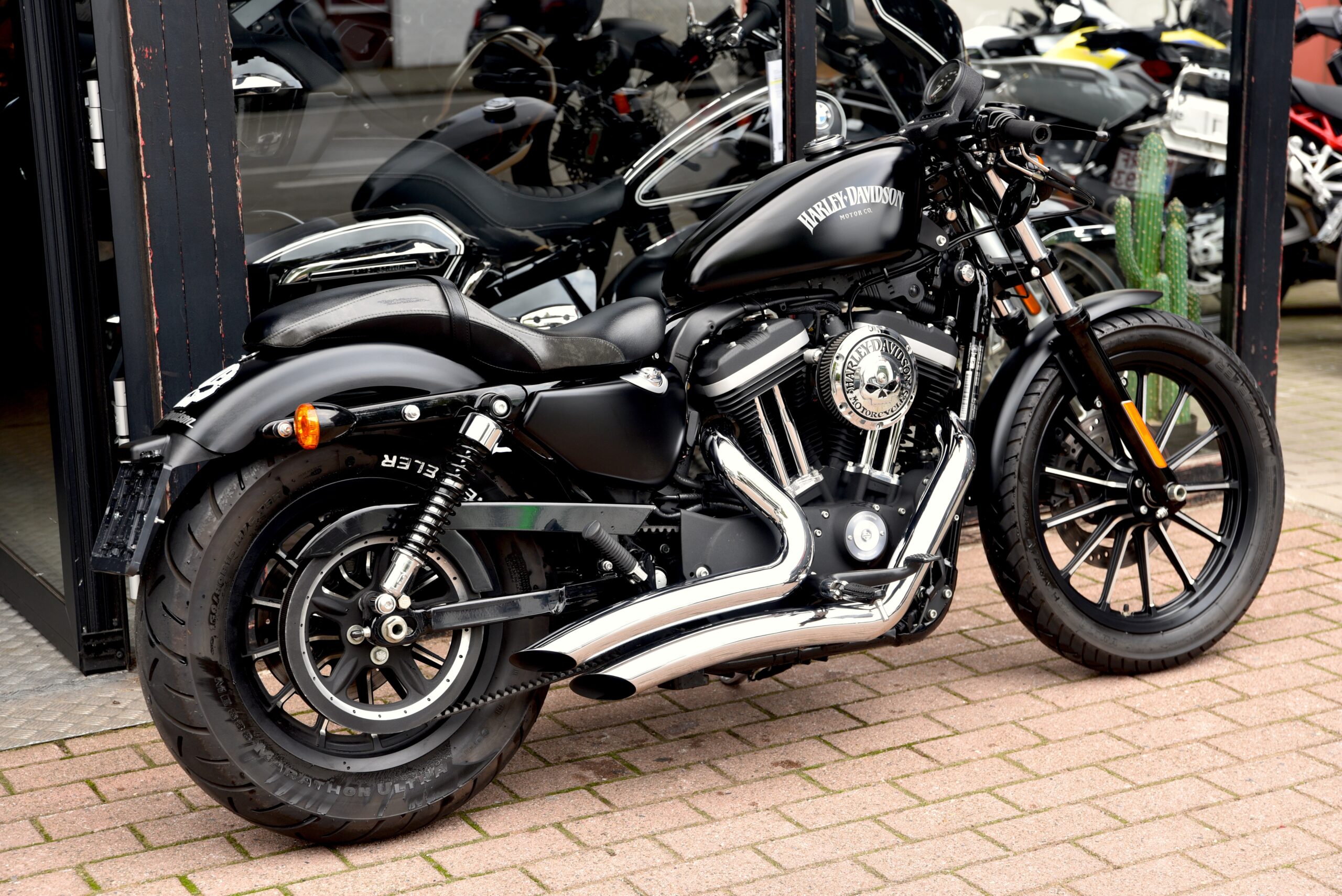HARLEY DAVIDSON IRON 883 – Image 3