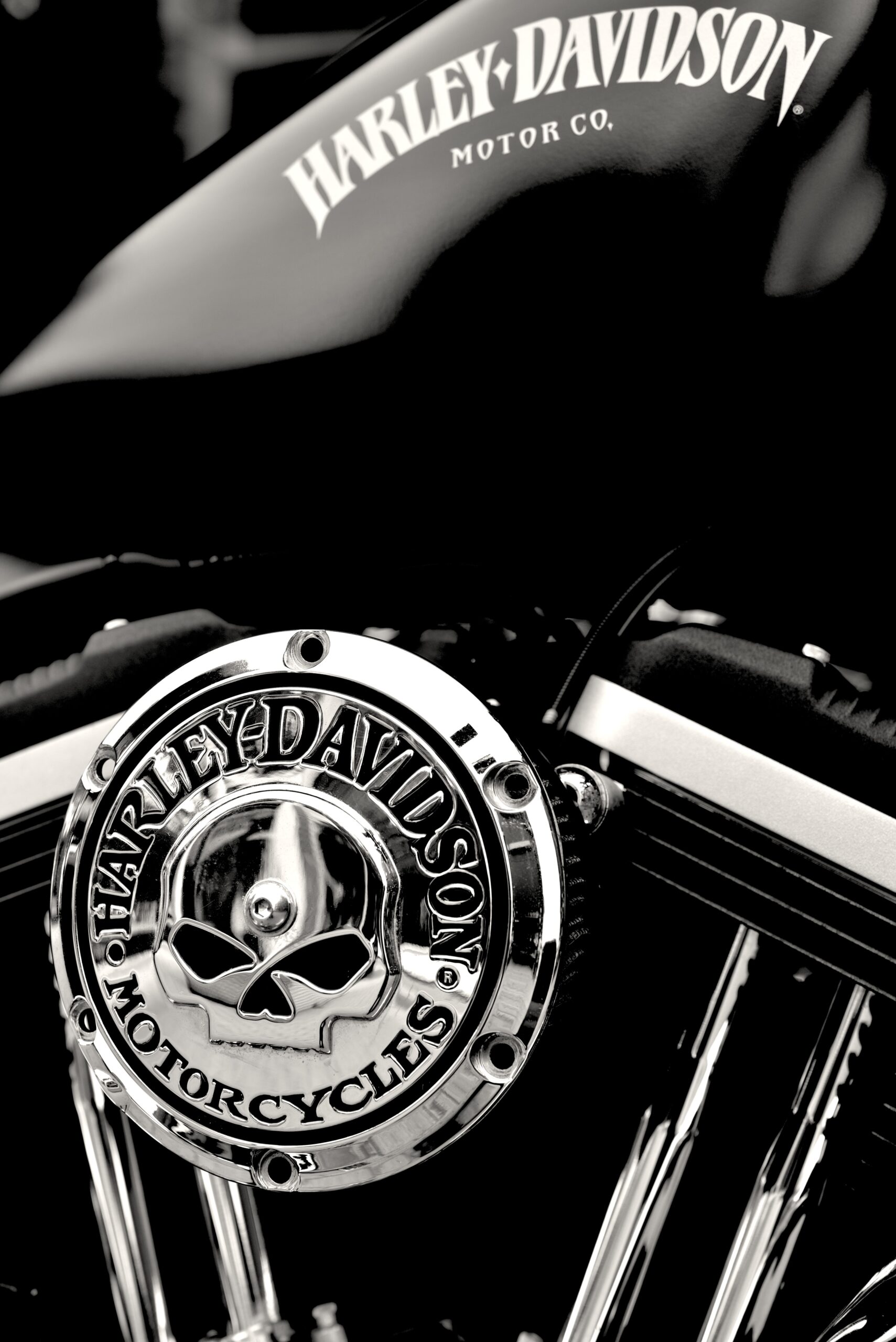 HARLEY DAVIDSON IRON 883 – Image 8