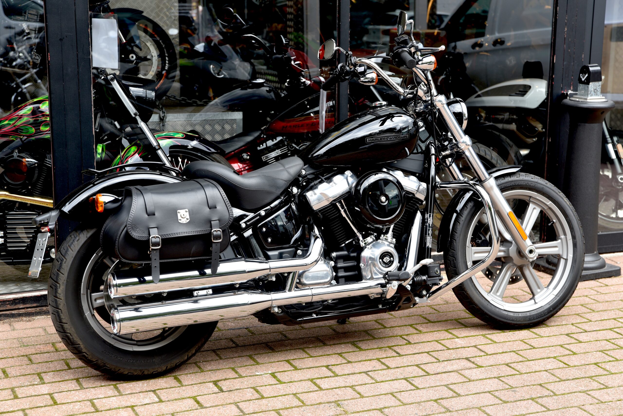 HARLEY DAVIDSON SOFTAIL STANDARD – Image 3