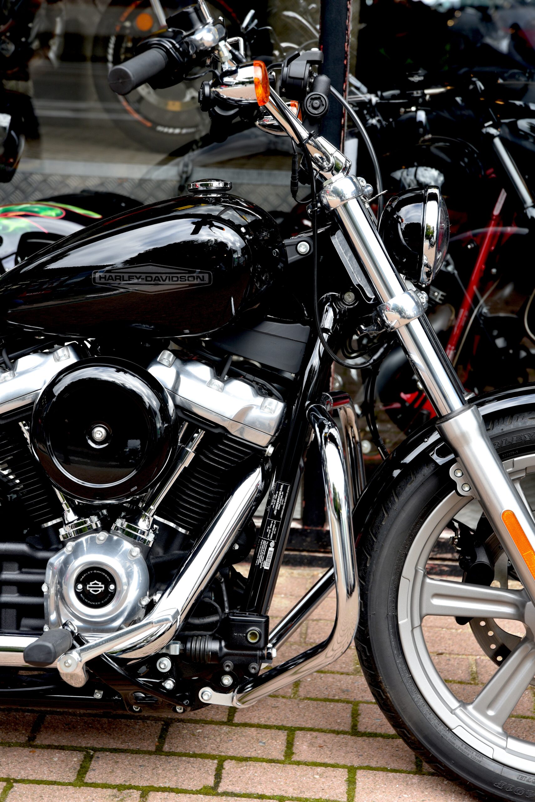 HARLEY DAVIDSON SOFTAIL STANDARD – Image 4